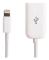 iPhone Adapter till USB - USB 2.0 Hona till Lightning - OTG