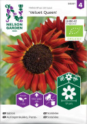 Solros 'Velvet Queen' Organic frö