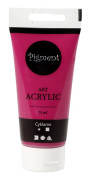 Pigment Art Acrylic Paint SKU 35147