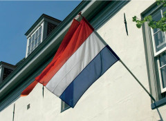 Flagga Holland