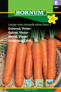 Vintermorot 'Herz 2' (Såband)