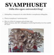 Fröer, Lökar & Sättpotatisar