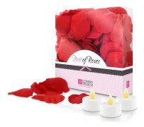 Bed of Roses Red LoversPremium E22002 (100 uds)