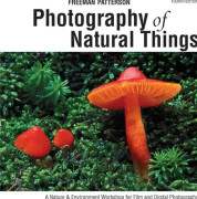 Photography of Natural Things