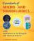 Essentials of Micro- and Nanofluidics