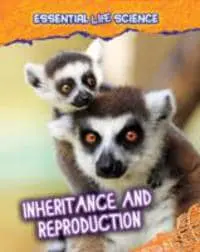 Inheritance and Reproduction