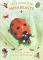 Let's Look for Minibeasts