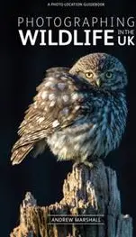 Photographing Wildlife in the UK