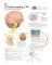 Understanding CNS Paper Poster
