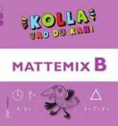 Kolla vad du kan Mattemix B
