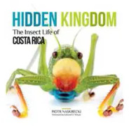 Hidden Kingdom