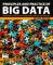 Principles and Practice of Big Data