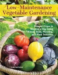Low-Maintenance Vegetable Gardening