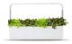  Kitchen Garden TREGREN T12 Vit