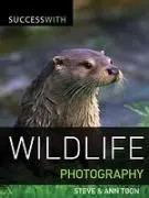 Success with Wildlife Photography