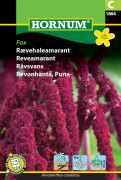 Rävsvans (Amarant) 'Fox' frö