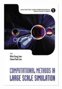 Computational Methods In Large Scale Simulation