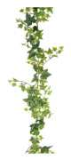 Murgröna 120 cm Grön