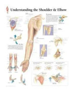 Understanding the Shoulder & Elbow Paper Poster