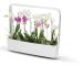  Kitchen Garden TREGREN T12 Vit