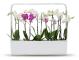  Kitchen Garden TREGREN T12 Vit