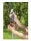  Grensåg Gardena 300 P Bågformad