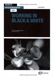 Working in Black & White