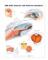 The Eye: Anterior and Posterior Chambers