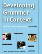 Developing Grammar in Context