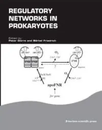 Regulatory Networks in Prokaryotes