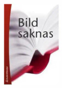Den motsägelsefulla staden