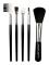 Body Collection 5 pc make up borstar