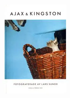 Ajax & Kingston