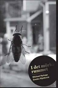 I det mörka rummet