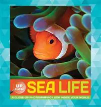 Sea Life
