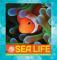 Sea Life