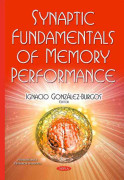 Synaptic Fundamentals of Memory Performance