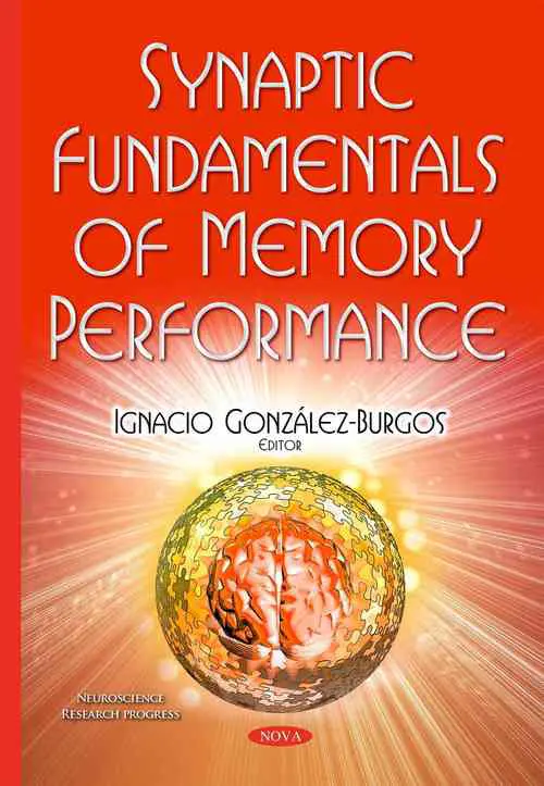 Synaptic Fundamentals of Memory Performance