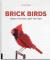 Birds from Bricks