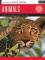 Acrylic: Animals