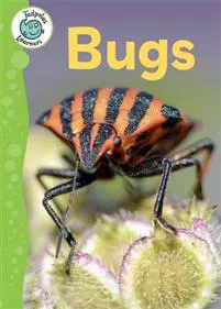 Tadpoles Learners: Bugs