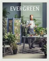 Evergreen