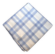 Tiger of Sweden - White & Blue Stripes Näsduk