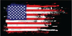 American Flag sticker.