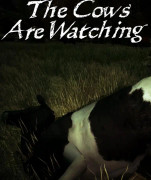 The Cows Are Watching