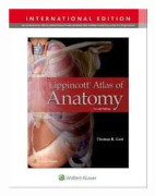 Lippincott Atlas of Anatomy