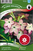  Blomstertobak Lord Nelson Avalon Lime-Purple F1