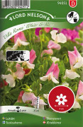 Luktärt ''Villa Roma'' White & Rose