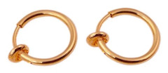2-pack Rose Guld Fake Piercing Öron Läpp Näsring Septum Läppring