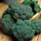 Broccoli 3 plantor
